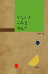 호랑가시나무를 엿보다 표지 이미지