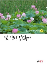 몇 생이 흘렀을까 표지 이미지