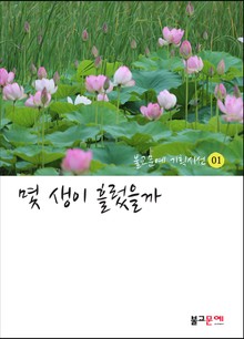 몇 생이 흘렀을까