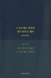 그 호수에는 천개의 달이 뜬다고 했다 표지 이미지