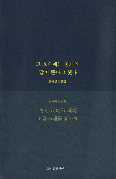 그 호수에는 천개의 달이 뜬다고 했다 표지 이미지