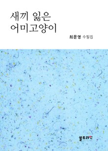 새끼 잃은 어미고양이