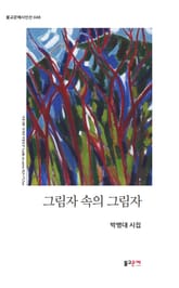 그림자 속의 그림자 표지 이미지