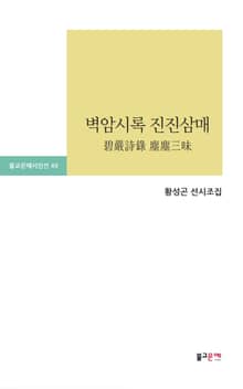벽암시록 진진삼매