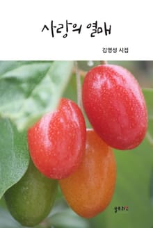 사랑의 열매