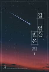 길 잃은 별은 표지 이미지