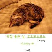 햇살 좋은 날, 호오포노포노