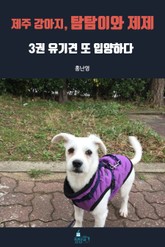 제주 강아지, 탐탐이와 제제 3권 - 유기견 또 입양하다 표지 이미지