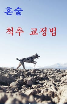혼술 척추교정법