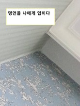 명언을 나에게 입히다 표지 이미지