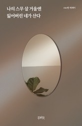 나의 스무 살 거울엔 잃어버린 네가 산다 표지 이미지