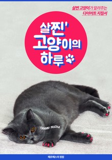 살찐 고양이의 하루