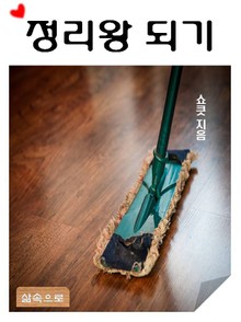 정리왕 되기