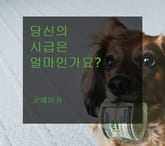당신의 시급은 얼마인가요? 표지 이미지