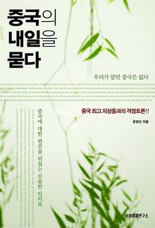 중국의 내일을 묻다