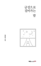 금성으로 걸어가는 밤 표지 이미지