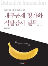 개정판 | 내부통제 평가와 적발감사 실무 표지 이미지