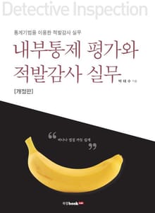 개정판 | 내부통제 평가와 적발감사 실무