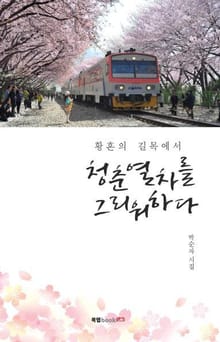 황혼의 길목에서 청춘열차를 그리워하다
