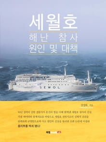 세월호 해난 참사 원인 및 대책