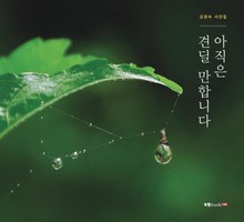 아직은 견딜 만합니다