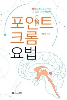 포인트 크롬 요법