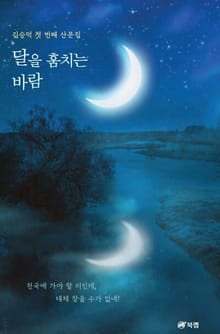 달을 훔치는 바람