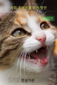사회 초년생을 위한 명언