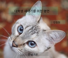 대학생 새내기를 위한 명언