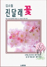 김소월 진달래꽃 표지 이미지