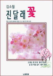 김소월 진달래꽃