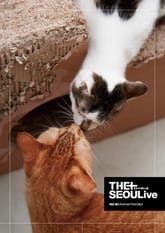 THESEOULive (더서울라이브) VOL.16 표지 이미지