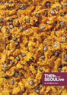THESEOULive (더서울라이브) VOL.22 [의료 The Cure]