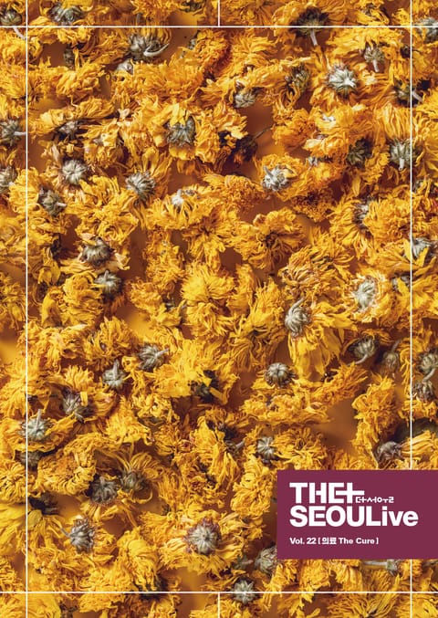 [체험판] THESEOULive (더서울라이브) VOL.22 [의료 The Cure] 표지 이미지