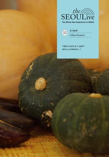 [체험판] 더서울라이브 Vol.33