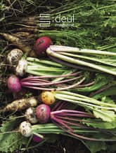 들 deul 2호 표지 이미지