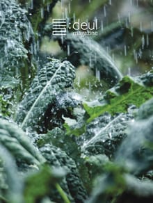 [체험판] 들 deul 3호