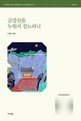 금강산을 누워서 걷노라니 표지 이미지