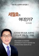 세월호의 끝은 어디인가? 외 20 표지 이미지