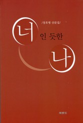 너인 듯한 나 표지 이미지