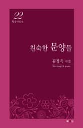 친숙한 문양들 표지 이미지