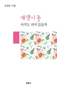 패랭이꽃 아직도 피어 있을까