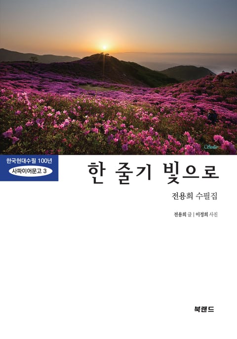 한 줄기 빛으로 표지 이미지