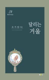 달리는 거울 표지 이미지