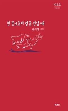 흰 물소들이 강을 건널 때