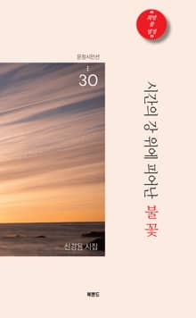 시간의 강 위에 피어난 불꽃