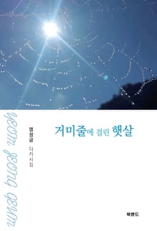 거미줄에 걸린 햇살