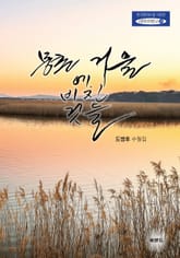 몽촌 거울에 비친 것들 표지 이미지