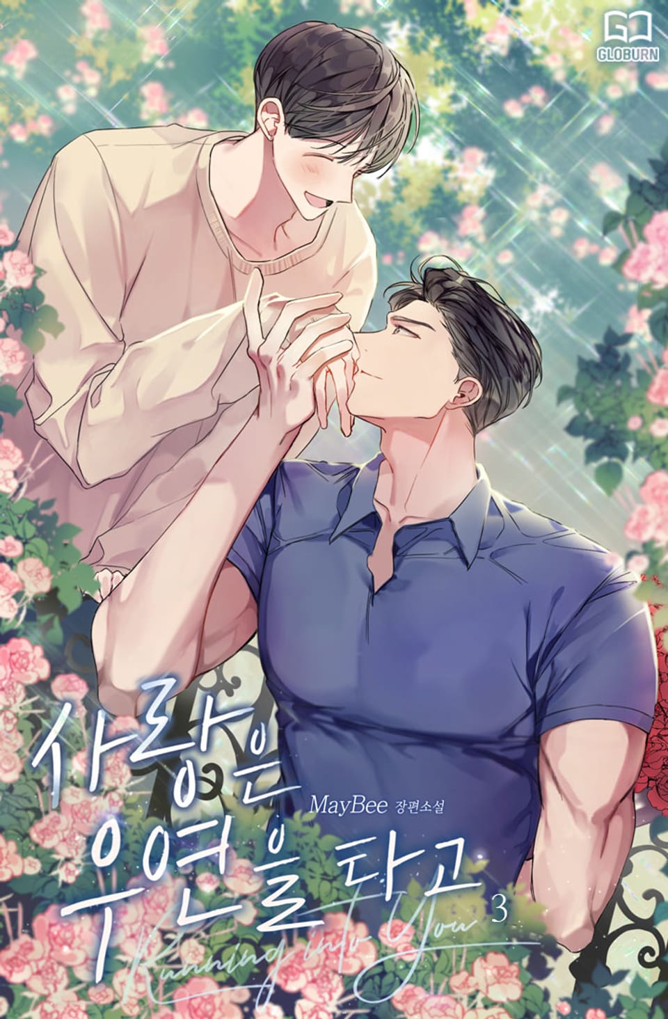 사랑은 우연을 타고 3권 (완결)