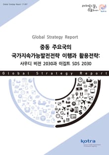 중동 주요국의 국가지속가능발전전략 이행과 활용전략